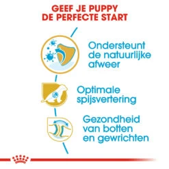 Royal Canin German Shepherd Puppy- Hondenvoer -Katten Honden Benodigdheden Winkel royal canin german shepherd puppy hondenvoer 138835 1000 none