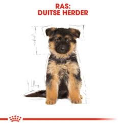 Royal Canin German Shepherd Puppy- Hondenvoer -Katten Honden Benodigdheden Winkel royal canin german shepherd puppy hondenvoer 138844 1000 none