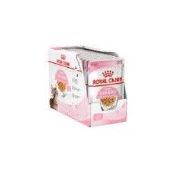 Royal Canin Kitten Sterilised In Jelly - Maaltijdzakje -Katten Honden Benodigdheden Winkel royal canin kitten sterilised in jelly kattenvoer 201959 1500 none