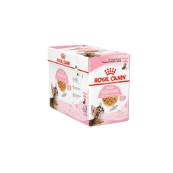 Royal Canin Kitten Sterilised In Jelly - Maaltijdzakje -Katten Honden Benodigdheden Winkel royal canin kitten sterilised in jelly kattenvoer 201965 1500 none