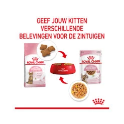 Royal Canin Kitten Sterilised In Jelly - Maaltijdzakje -Katten Honden Benodigdheden Winkel royal canin kitten sterilised in jelly maaltijdzakje 207212 2000 none