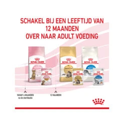 Royal Canin Kitten Sterilised In Jelly - Maaltijdzakje -Katten Honden Benodigdheden Winkel royal canin kitten sterilised in jelly maaltijdzakje 207221 2000 none