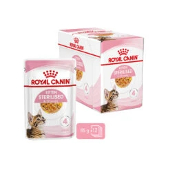 Royal Canin Kitten Sterilised In Jelly - Maaltijdzakje -Katten Honden Benodigdheden Winkel royal canin kitten sterilised in jelly maaltijdzakje 207230 2000 none
