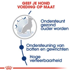 Royal Canin Maxi Ageing 8+ - Hondenvoer -Katten Honden Benodigdheden Winkel royal canin maxi ageing 8 hondenvoer 128711 1000 none