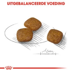 Royal Canin Mini Urinary Care - Hondenvoer -Katten Honden Benodigdheden Winkel royal canin mini urinary care hondenvoer 131078 1000 none