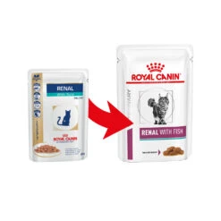 Royal Canin Renal Kat - Maaltijdzakje 21 Royal Canin Renal Kat - Maaltijdzakje -Katten Honden Benodigdheden Winkel royal canin renal kat 164563 1000 none