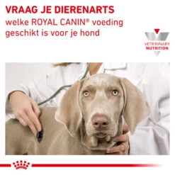 Royal Canin Satiety Kleine Hond 21 Royal Canin Satiety Kleine Hond -Katten Honden Benodigdheden Winkel royal canin satiety kleine hond 156818 2000 none