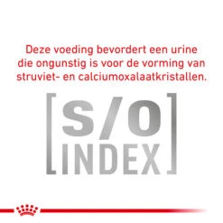 Royal Canin Skin & Coat Wet -Katten Honden Benodigdheden Winkel royal canin skin coat wet 153640 1000 none