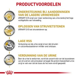 Royal Canin Skin & Coat Wet -Katten Honden Benodigdheden Winkel royal canin skin coat wet 153649 1000 none