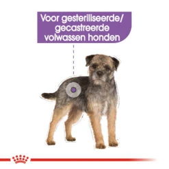 Royal Canin Sterilised Wet - Hondenvoer -Katten Honden Benodigdheden Winkel royal canin sterilised wet hondenvoer 131561 1000 none