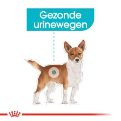 Royal Canin Urinary Care Wet - Hondenvoer -Katten Honden Benodigdheden Winkel royal canin urinary care wet hondenvoer 131930 1000 none
