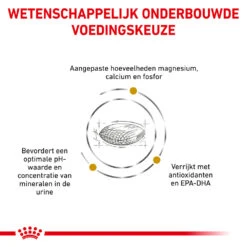 Royal Canin Urinary S/O Hond - Blik -Katten Honden Benodigdheden Winkel royal canin urinary so hond 153679 1000 none