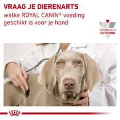 Royal Canin Urinary S/O Hond - Blik -Katten Honden Benodigdheden Winkel royal canin urinary so hond 153688 1000 none