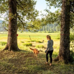 Ruffwear Knot-a-Hitch 14 Ruffwear Knot-a-Hitch -Katten Honden Benodigdheden Winkel ruffwear knot a hitch 124643 0500 none