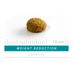 SANIMED Weight Reduction Cat 10 SANIMED Weight Reduction Cat -Katten Honden Benodigdheden Winkel sanimed weight reduction cat 159302 1500 none