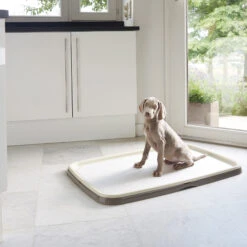 Savic Puppy Trainer + Pads -Katten Honden Benodigdheden Winkel savic puppy trainer pads 163498 2000 none