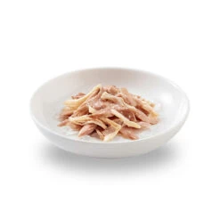 Schesir Natvoer -Katten Honden Benodigdheden Winkel schesir natvoer 210263 0500 none