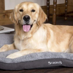 Boneguard Rawhide Bones -Katten Honden Benodigdheden Winkel scruffs cosy mattress 209363 1500 none