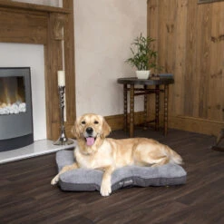 Boneguard Rawhide Bones -Katten Honden Benodigdheden Winkel scruffs cosy mattress 209366 1500 none