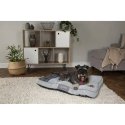Scruffs Highland Matras -Katten Honden Benodigdheden Winkel scruffs highland matras 197465 0500 none