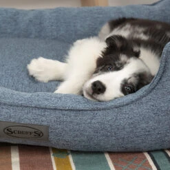 Boneguard Rawhide Bones -Katten Honden Benodigdheden Winkel scruffs manhattan box bed 209510 1500 none