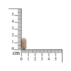 Sensipharm Omniderma Hond -Katten Honden Benodigdheden Winkel sensipharm omniderma hond 174730 1000 none