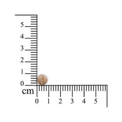 Sensipharm Sneeze Aid Kat -Katten Honden Benodigdheden Winkel sensipharm sneeze aid kat 174685 1000 none