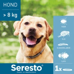 Seresto Hond -Katten Honden Benodigdheden Winkel seresto hond 180928 1000 none