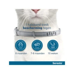 Seresto Kat -Katten Honden Benodigdheden Winkel seresto kat 174145 0500 none