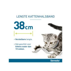 Seresto Kat -Katten Honden Benodigdheden Winkel seresto kat 174148 0500 none