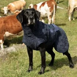 Siccaro WetDog SupremePro 2.0 -Katten Honden Benodigdheden Winkel siccaro wetdog supremepro 190159 1000 none