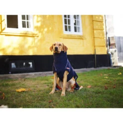 Siccaro WetDog SupremePro 2.0 -Katten Honden Benodigdheden Winkel siccaro wetdog supremepro 20 216994 2000 none