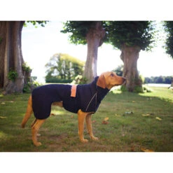 Siccaro WetDog SupremePro 2.0 -Katten Honden Benodigdheden Winkel siccaro wetdog supremepro 20 216995 2000 none