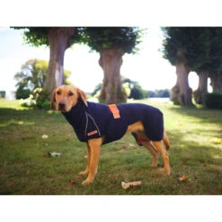 Siccaro WetDog SupremePro 2.0 -Katten Honden Benodigdheden Winkel siccaro wetdog supremepro 20 216996 2000 none