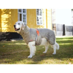 Siccaro WetDog SupremePro 2.0 -Katten Honden Benodigdheden Winkel siccaro wetdog supremepro 20 216997 2000 none