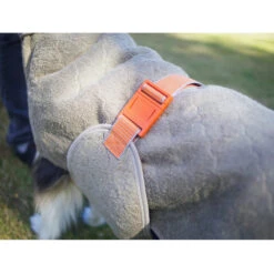 Siccaro WetDog SupremePro 2.0 -Katten Honden Benodigdheden Winkel siccaro wetdog supremepro 20 216999 2000 none