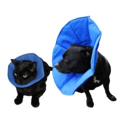 SoftE Smart Collar -Katten Honden Benodigdheden Winkel softe smart collar 93289 0500 none