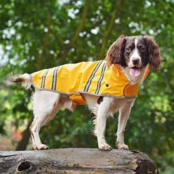 Sötnos Hondenregenjas -Katten Honden Benodigdheden Winkel stnos hondenregenjas 130475 0500 none