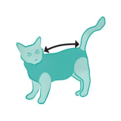 Suitical Recovery Suit Kat -Katten Honden Benodigdheden Winkel suitical recovery suit kat 202523 0500 none