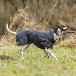 Trixie Hondenjas Calvi -Katten Honden Benodigdheden Winkel trixie hondenjas calvi 207467 1000 none