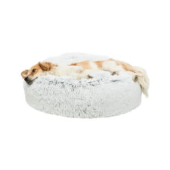 Trixie Kussen Harvey -Katten Honden Benodigdheden Winkel trixie kussen harvey 170530 2000 none