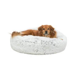 Trixie Kussen Harvey -Katten Honden Benodigdheden Winkel trixie kussen harvey 170536 2000 none