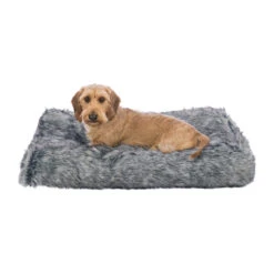 Trixie Kussen Yelina -Katten Honden Benodigdheden Winkel trixie kussen yelina 216146 2000 none