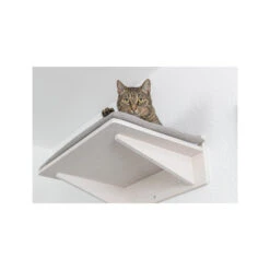 Trixie Ligplateau Voor Muur -Katten Honden Benodigdheden Winkel trixie ligplateau voor muur 186835 1500 none
