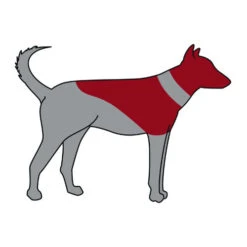 Trixie Opblaasbare Beschermkraag -Katten Honden Benodigdheden Winkel trixie opblaasbare beschermkraag 101866 0500 none