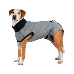 Trixie Operatie Hondenjas -Katten Honden Benodigdheden Winkel trixie operatie hondenjas 95186 0500 none