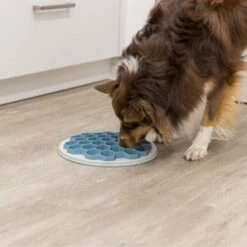 Trixie Slow Feeding Voederbak Bijenkorf -Katten Honden Benodigdheden Winkel trixie slow feeding voederbak bijenkorf 205454 0500 none