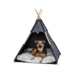 Trixie Tipi 9 Trixie Tipi -Katten Honden Benodigdheden Winkel trixie tipi 205724 2000 none