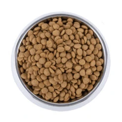 Vetality Skin Support - Hondenvoer -Katten Honden Benodigdheden Winkel vetality skin support hondenvoer 195221 1000 none