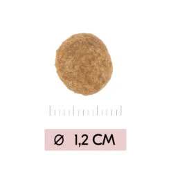 Vetality Skin Support - Hondenvoer -Katten Honden Benodigdheden Winkel vetality skin support hondenvoer 195452 1000 none